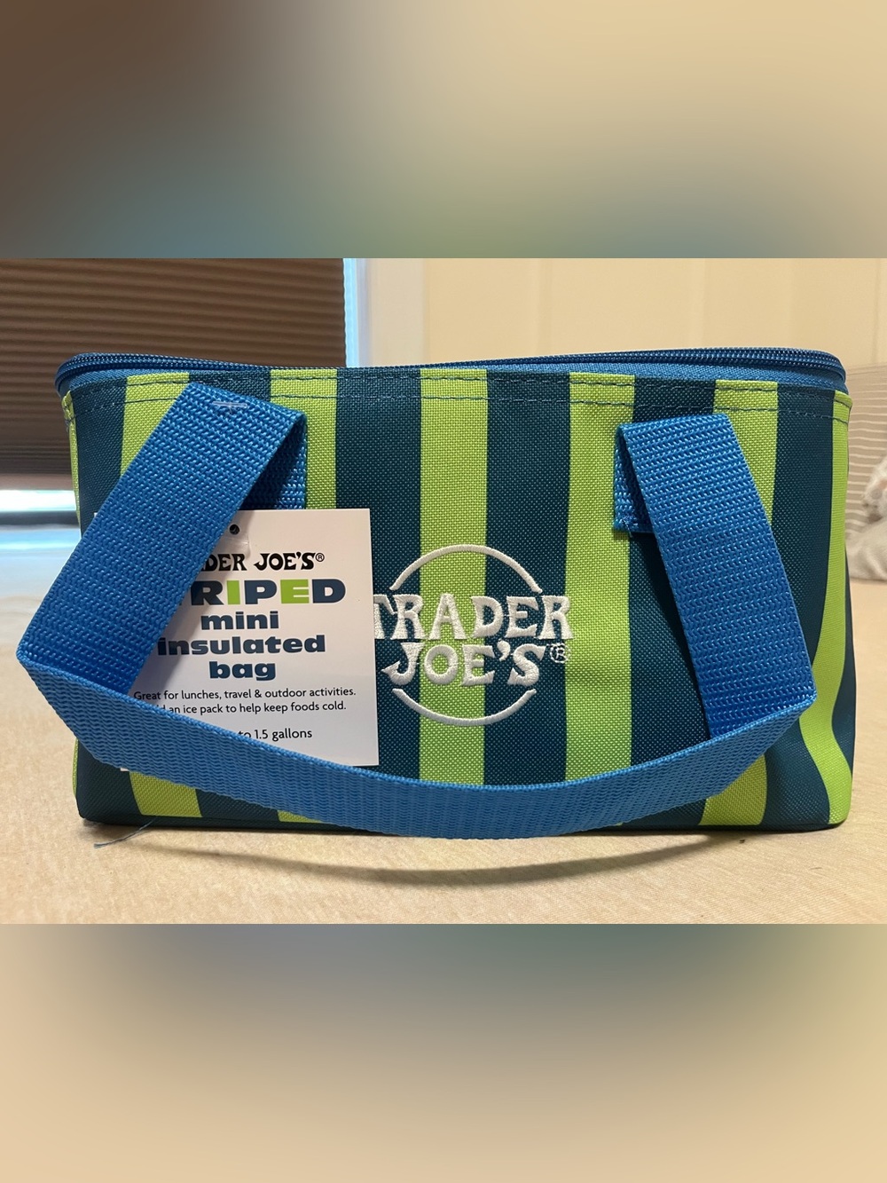 Trader Joes Mini Insulated Bag